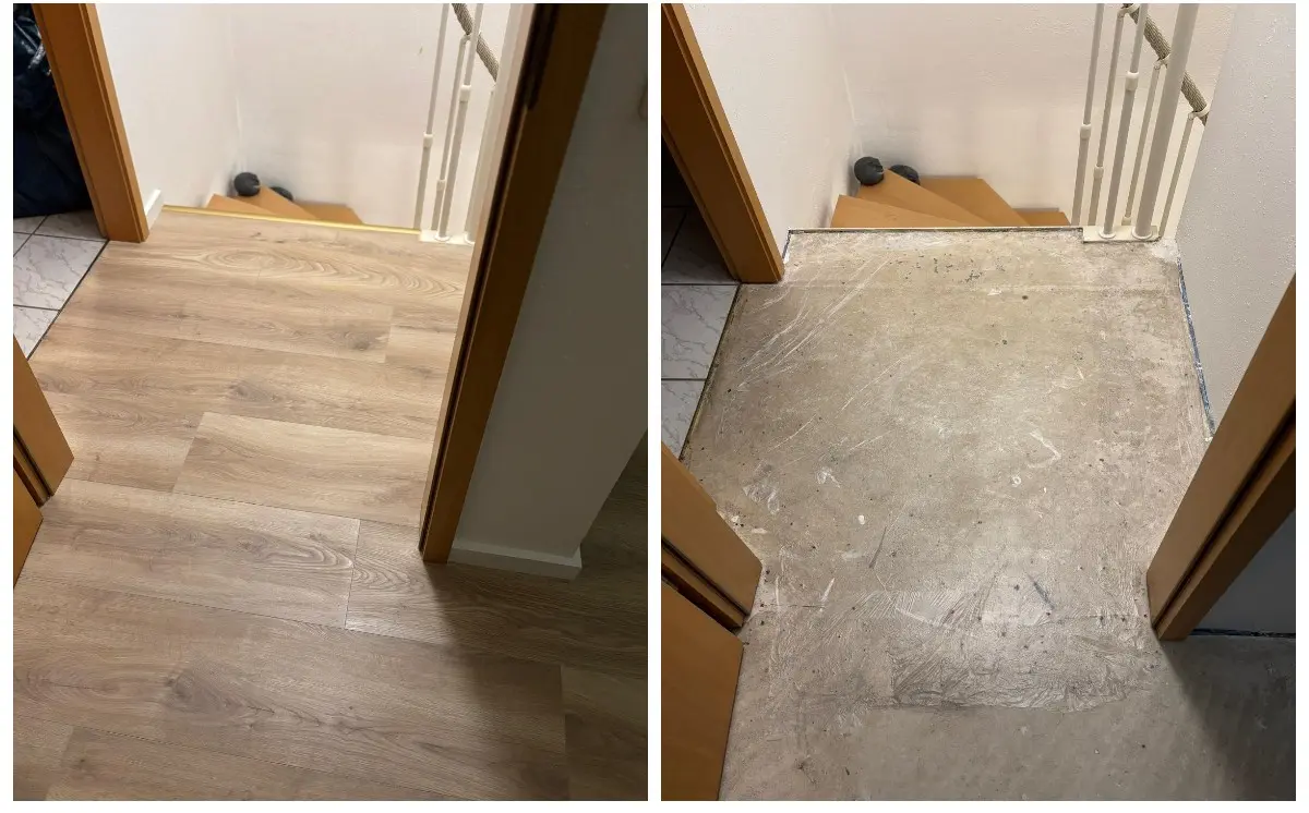 Boden Beläge Laminat in Schornsheim